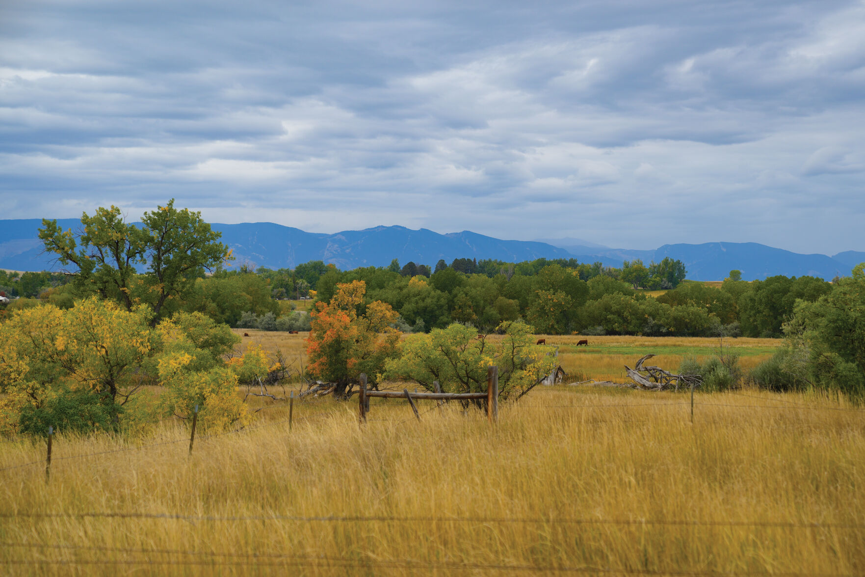 Fall Colors_CH 001.jpg